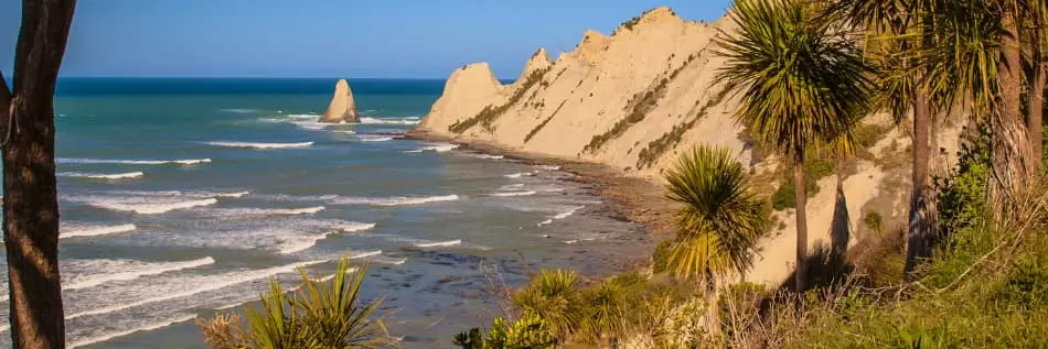 Cap Kidnappers avec des choux (Cordyline australis) devant, Napier, Nouvelle-Zélande