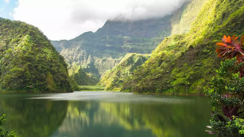Vue sur le lac de Vaihiria et son impressionnante végétation dans la vallée de Papenoo à Tahiti. Une escale incontournable lors d'une croisière en Polynésie