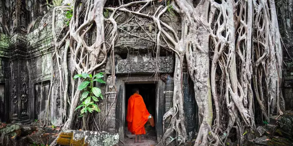 Un temple d'Angkor recouvert par la végétation