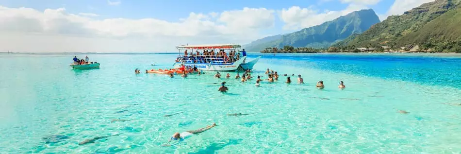 Moment de nage avec les requins dans les eaux turquoises de Moorea, en Polynésie Française