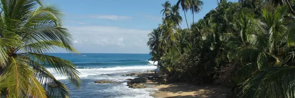 Le parc national de Cahuita, situé sur la côte sud des Caraïbes au Costa Rica