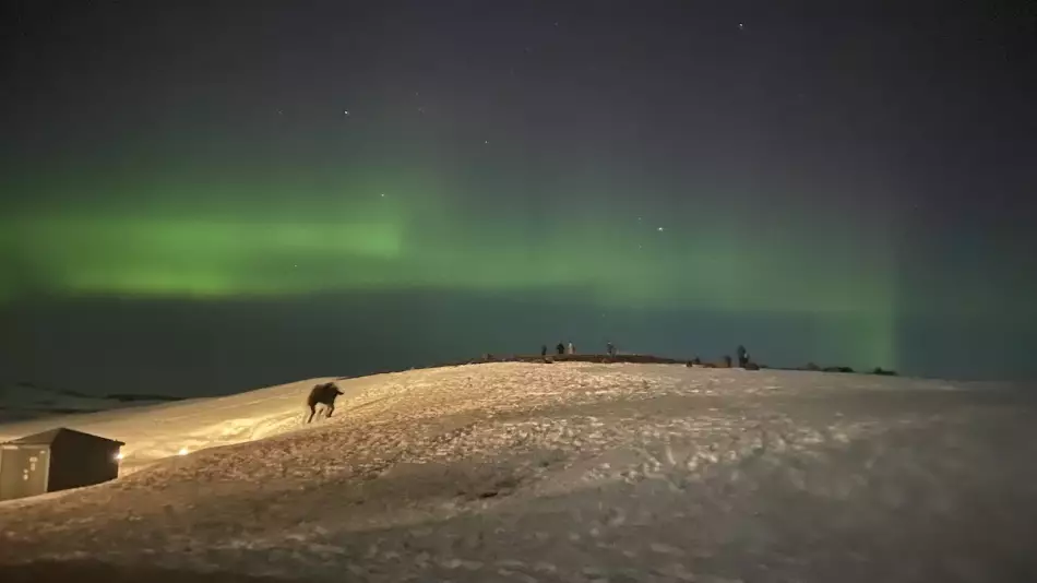 Les aurores boréales : un spectacle qui fascine Islandais et touristes