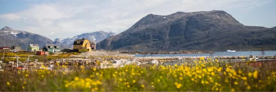 Les terres du Groenland avec en premier plan la verdure et en second plan les sommets glacés