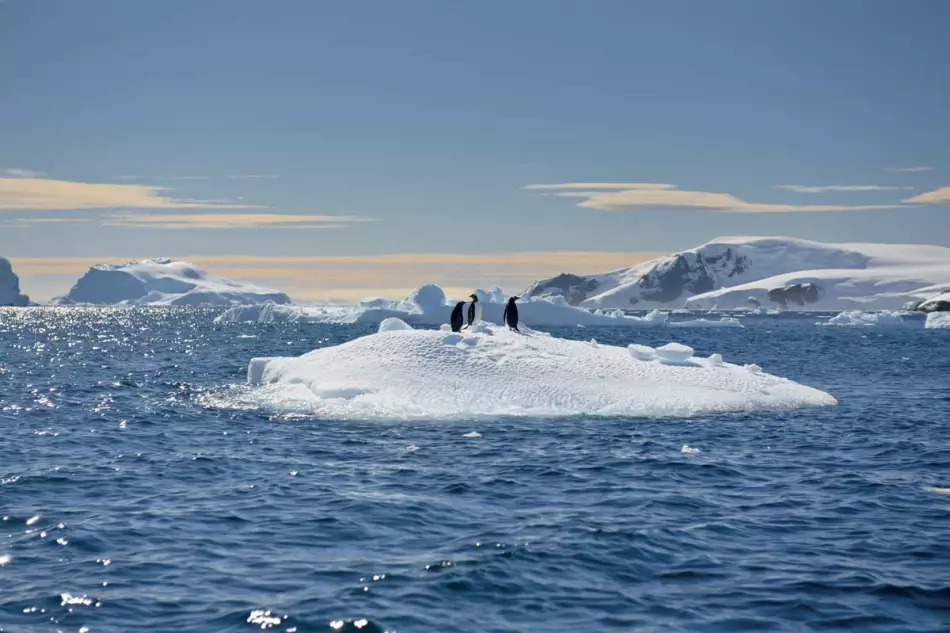 Vivre une expérience unique lors d'une croisière en Antarctique