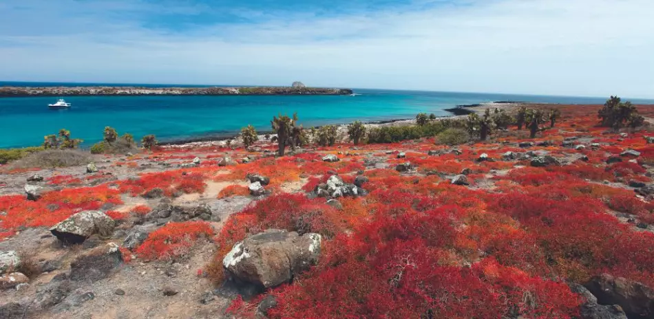 Les Îles Galapagos : laboratoire à ciel ouvert de Charles Darwin