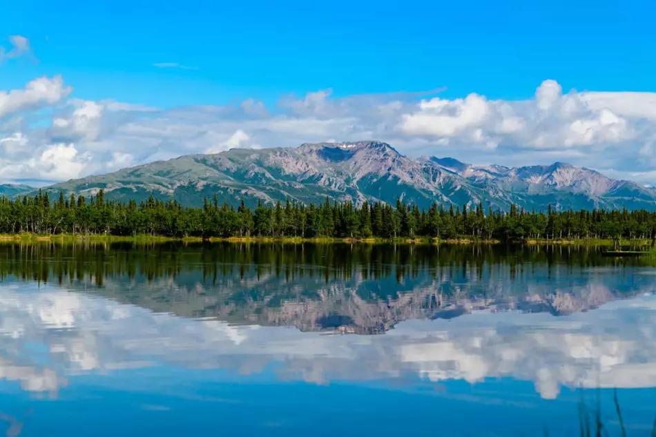 Faune d'Alaska dans un environnement sublime