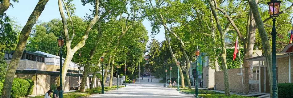 L'allée des Giardini de la Biennale, Venise, Italie