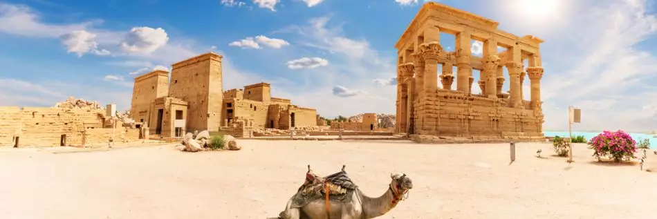 Temple de Philae, kiosque de Trajan et chameau, beau panorama, Assouan, Egypte.