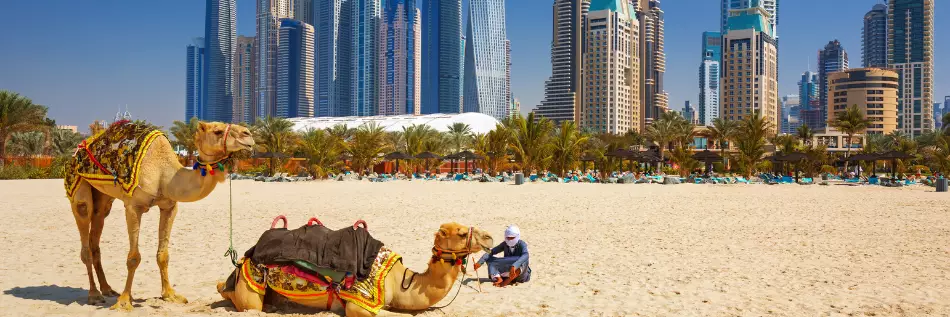 Désert au bord de la ville de Dubaï