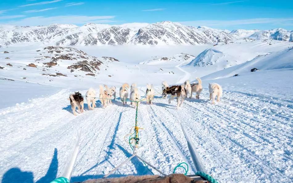 Un moyen de transport si courant au Groenland