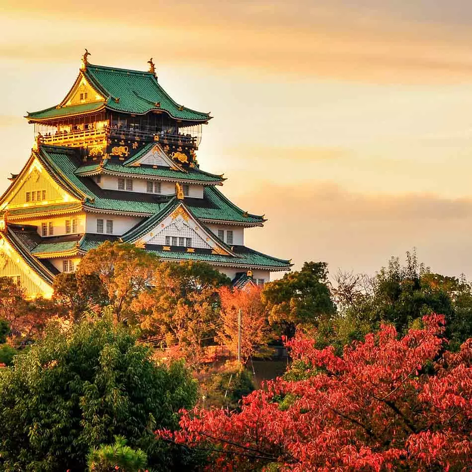 Jardin et monument célèbre à Osaka