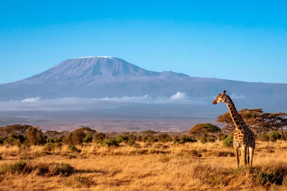 Vue sur le Kilimandjaro à découvrir lors d'un safari en Afrique