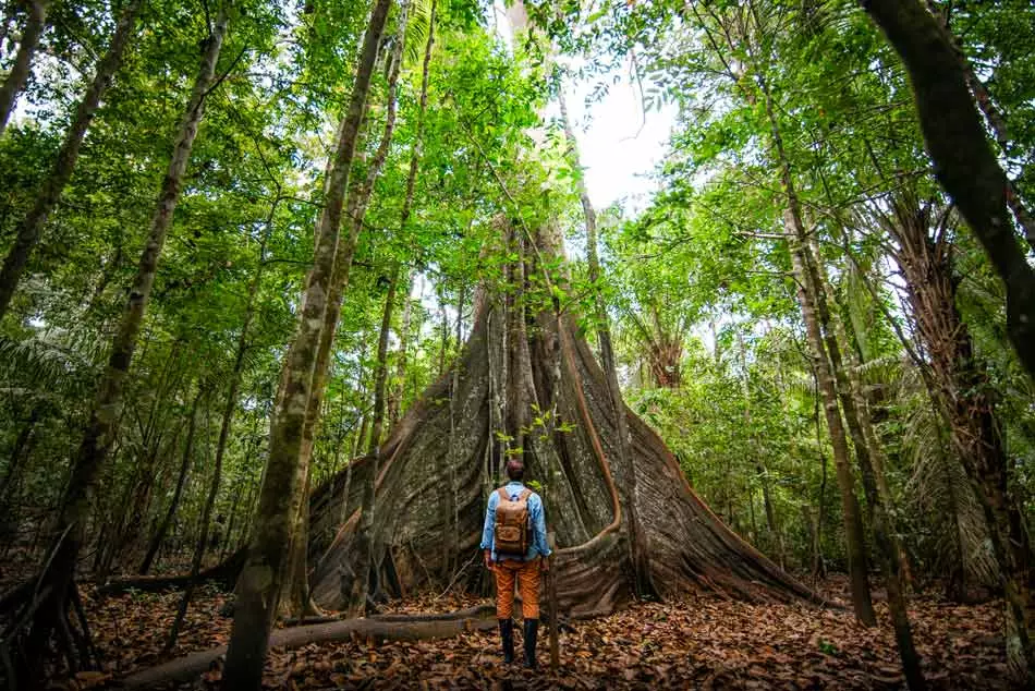 À la découverte des trésors de l'Amazonie