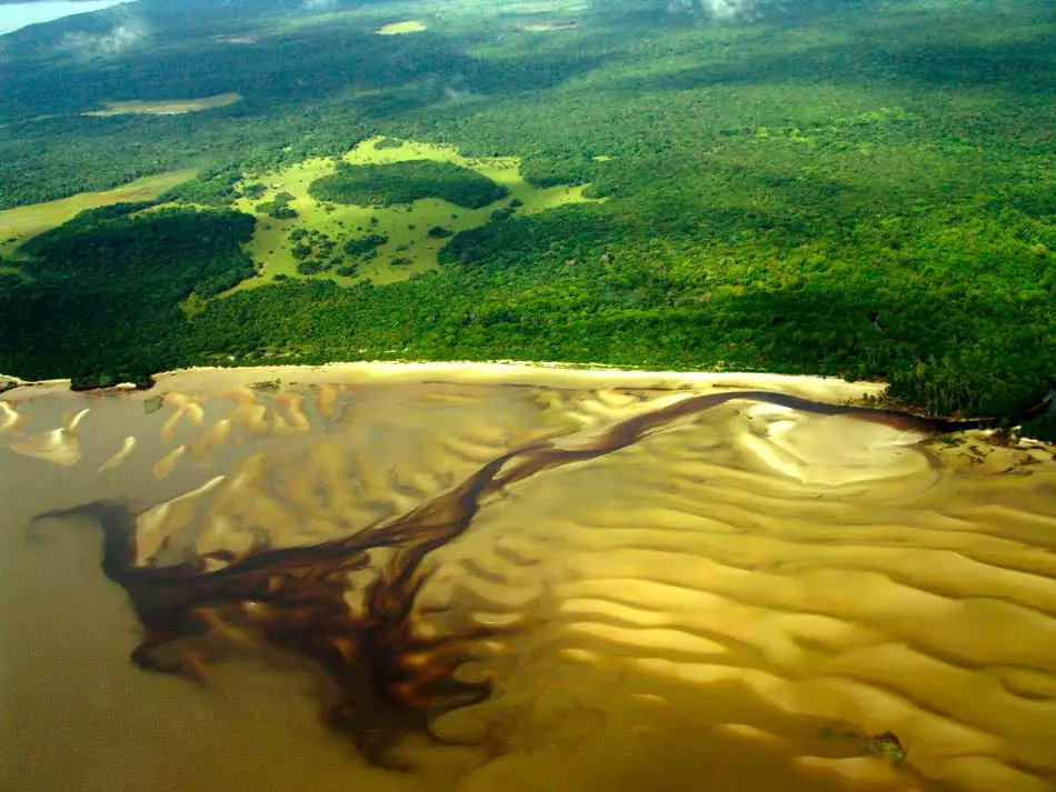 Estuaire du fleuve Amazone