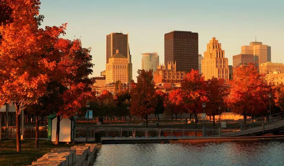 La ville de Montréal au Canada revêt ses habits d'automne