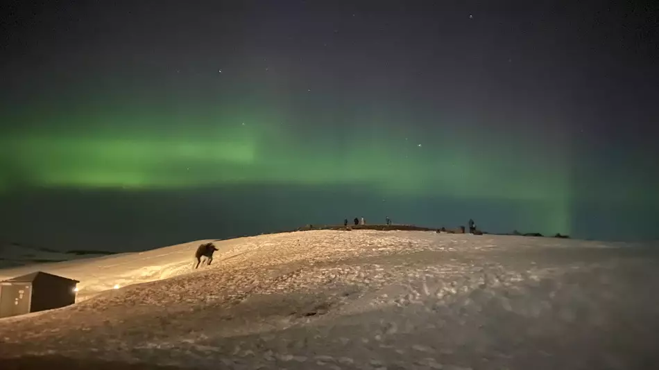 Aurore boréale à Skútustaðahreppur