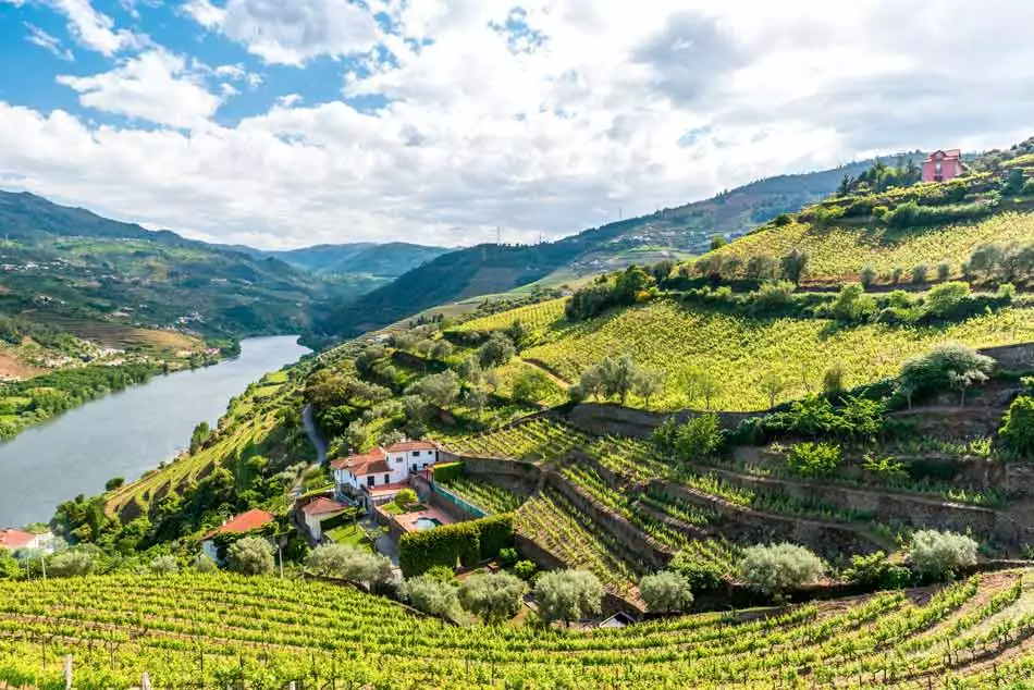 La Vallée du Douro : sublime écrin pour les croisières œnologiques