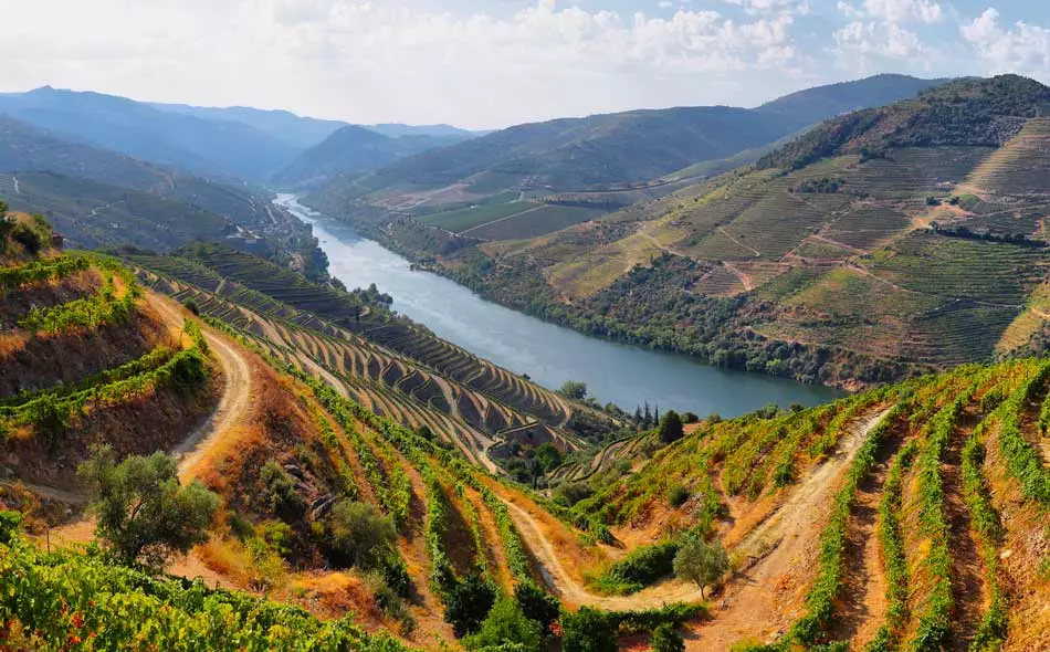 Quand les vignes dessinent la Vallée du Douro