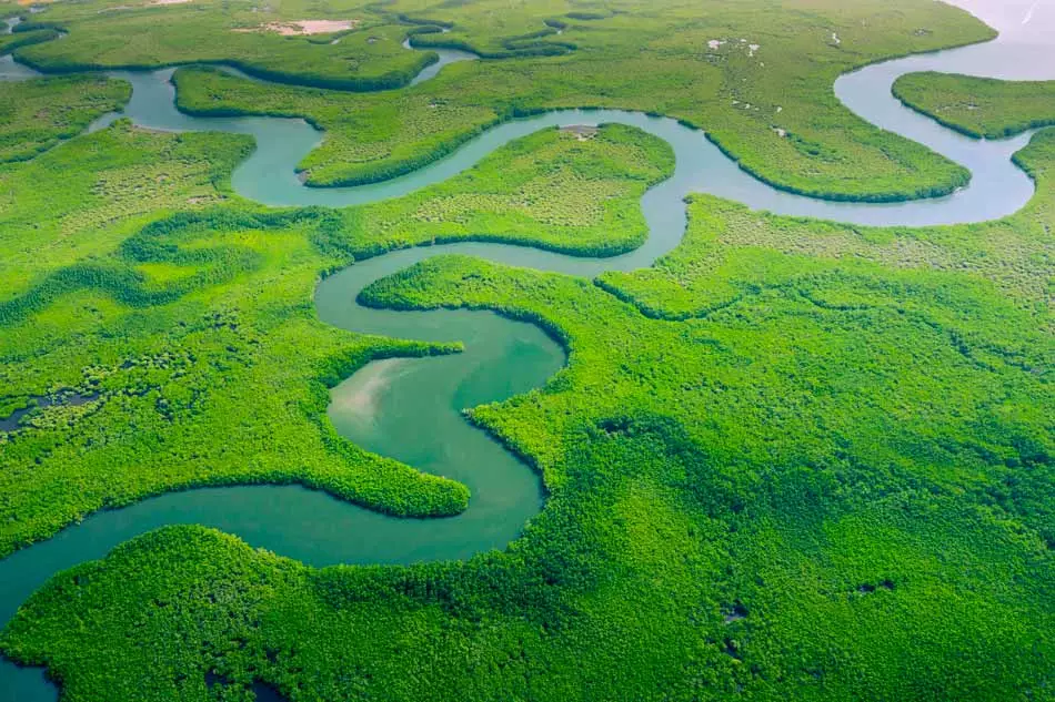 Vue aérienne de la forêt amazonienne