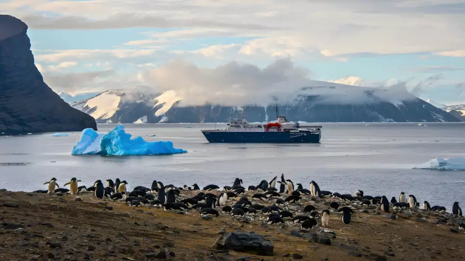 Faune & MV Ortelius