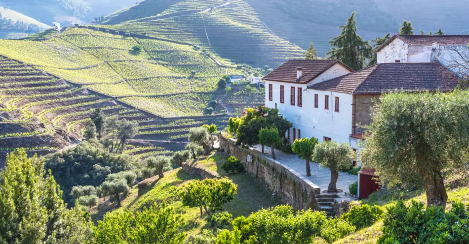 Vallée du Douro