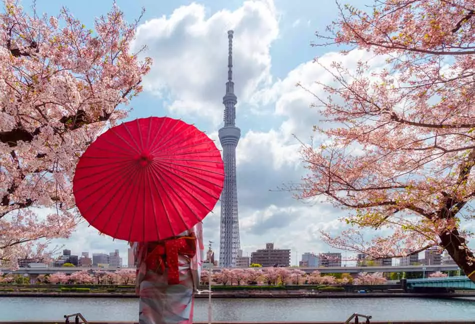 Sumida à Tokyo