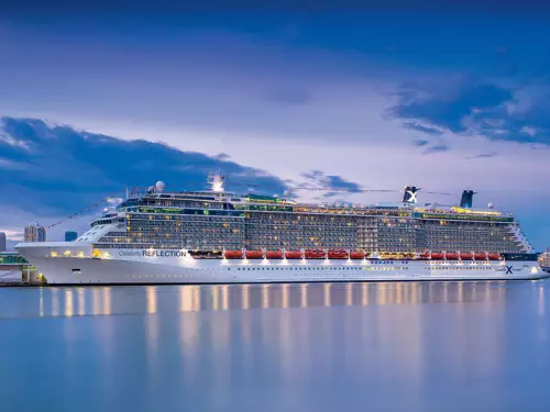 Celebrity Reflection