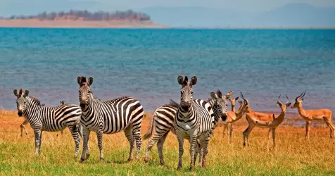 Croisières en Afrique