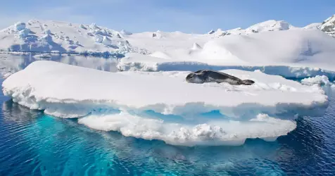 Croisière polaire : Arctique, Antarctique