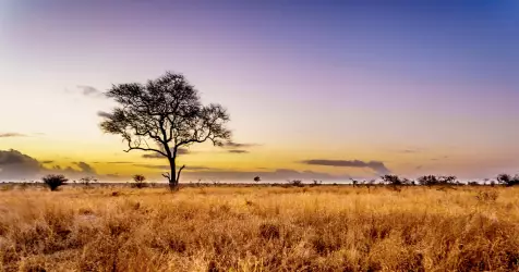 Croisière Afrique du Sud