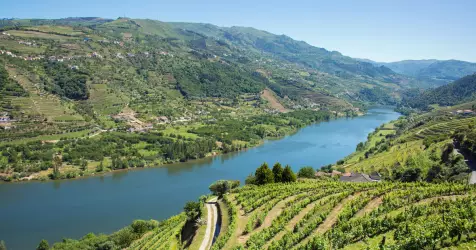 Croisières Vin & Œnologie