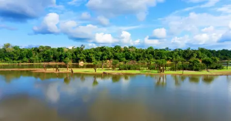 Croisières en Amazonie
