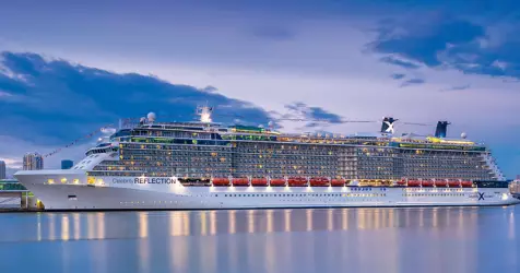 Celebrity Reflection