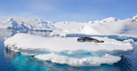 Découvrez l´Antarctique, sublime continent blanc