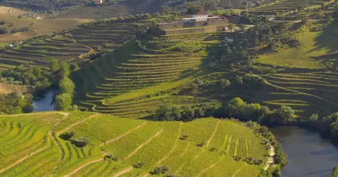 Croisières sur le Douro