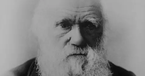 Charles Darwin ou le parcours d'un passionné d'histoire naturelle