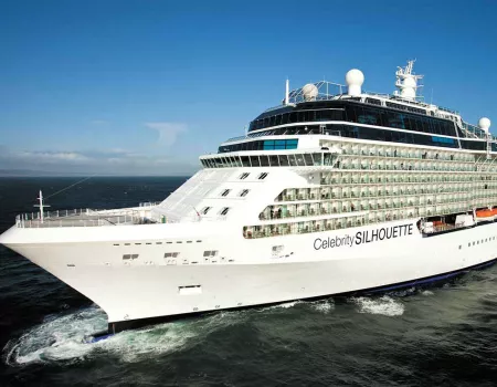 Celebrity Silhouette
