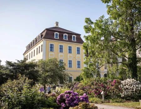 Bilderberg Bellevue Hotel 4* - Dresde