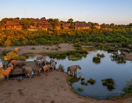 Victoria Falls Safari Lodge - Zimbabwe 4*