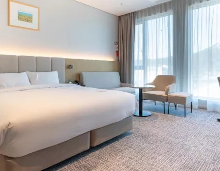 Andong Standford Hotel - Andong