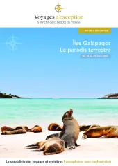 Croisière aux Galápagos : cap sur le paradis terrestre