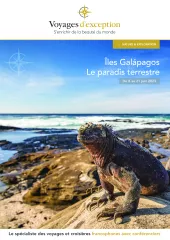 Croisière aux Galápagos : voyage vers les origines de la vie