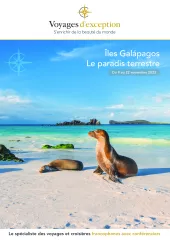 Croisière aux Galápagos, l'archipel aux origines de la vie