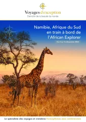 Aventures en Namibie et en Afrique du Sud en train