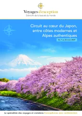 Circuit au Japon, de Tokyo à Osaka