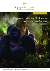 Voyage en Ouganda, perle de l'Afrique & territoire des Gorilles