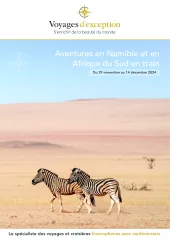 Aventures en Afrique du Sud et Namibie en train