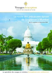 La route des précieuses épices de Singapour à Mumbai