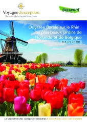 Odyssée florale sur le Rhin : les plus beaux jardins de Hollande et de Belgique