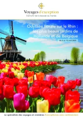 Odyssée florale sur le Rhin : les plus beaux jardins de Hollande et de Belgique